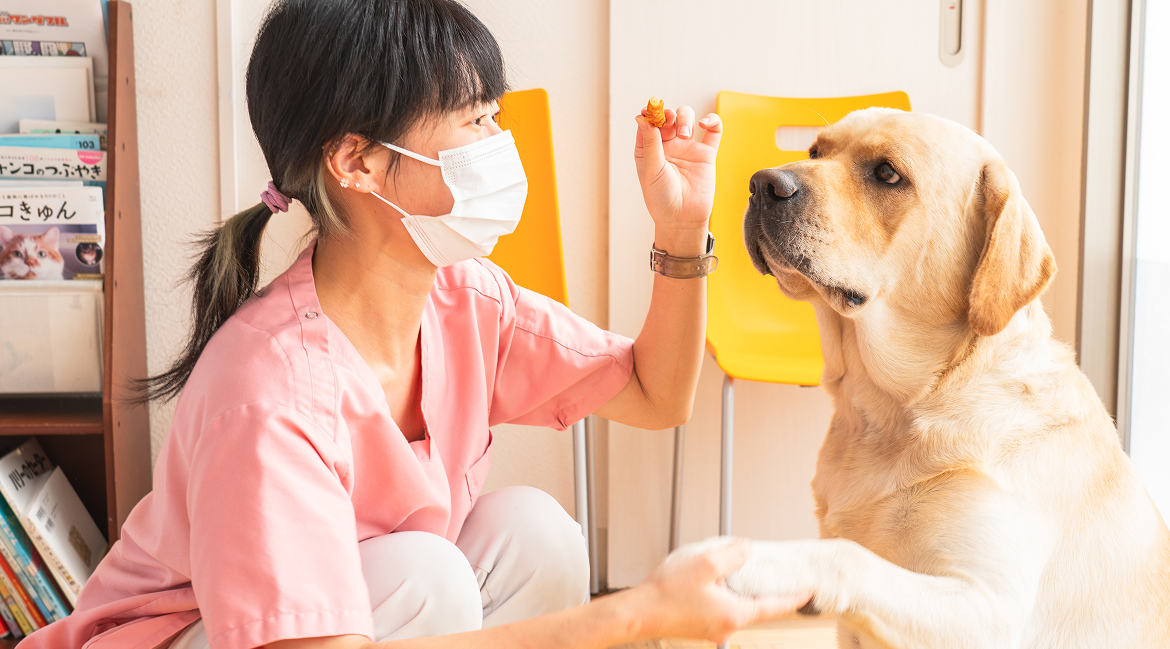 小さな“サイン”を見逃さず、ご家族の気持ちに寄り添う医療を