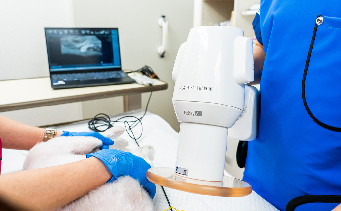 整形外科・歯科に特化した専門診療