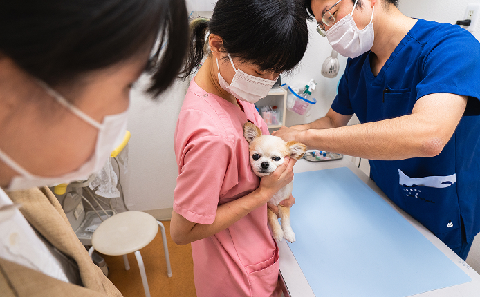 動物と暮らし始めた方