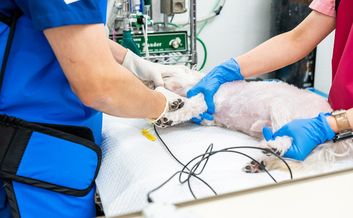 骨や関節のトラブル